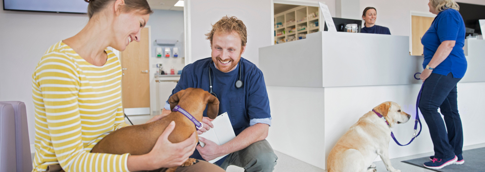 Understanding The New Challenges Faced By Veterinary Practices